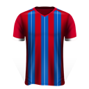 Patrick Van Aanholt