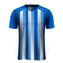 Vedad Ibisevic